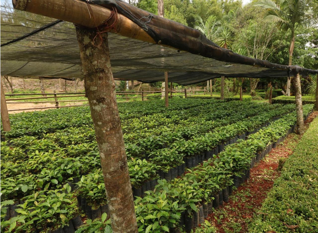 Mision Los Cocuyos Alta Montana Huatusco Kültér fotó